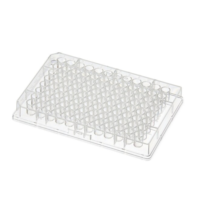 Thermo Scientific™ Pierce™ 96-Well Polystyrene Plates, Corner Notch 