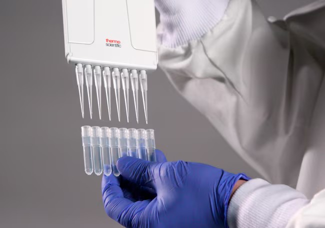 Thermo Scientific™ Pierce™ Dilution-Free™ BSA Protein Standards, multichannel pipette compatible