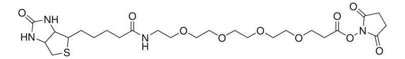 Thermo Scientific™ EZ-Link™ NHS-PEG4-Biotin