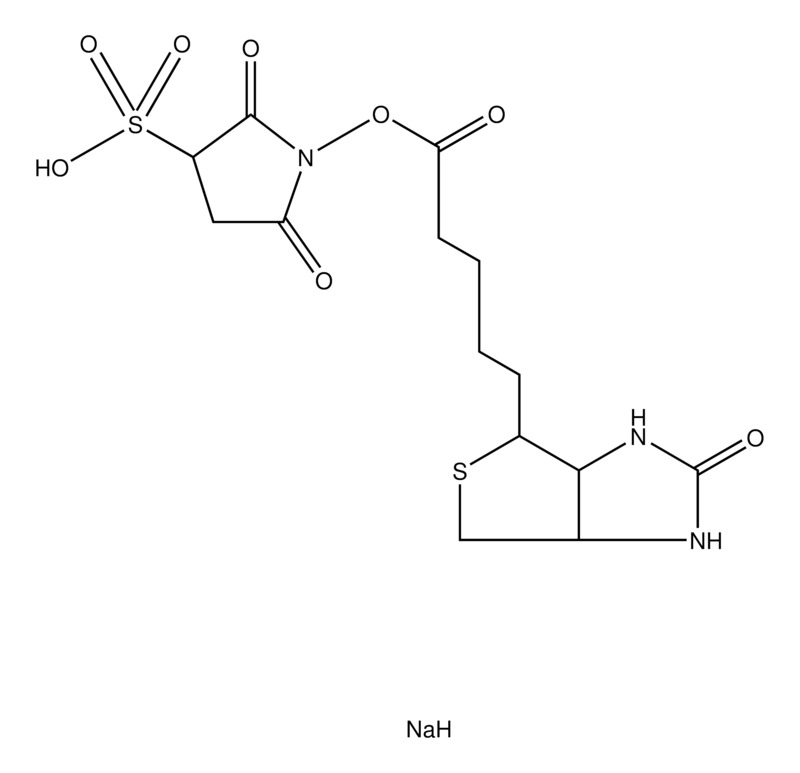 Thermo Scientific™ EZ-Link™ Sulfo NHS-LC-LC-Biotin, No-Weigh™ Format