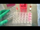 Invitrogen™ LIVE/DEAD™ BacLight™ Bacterial Viability Kit