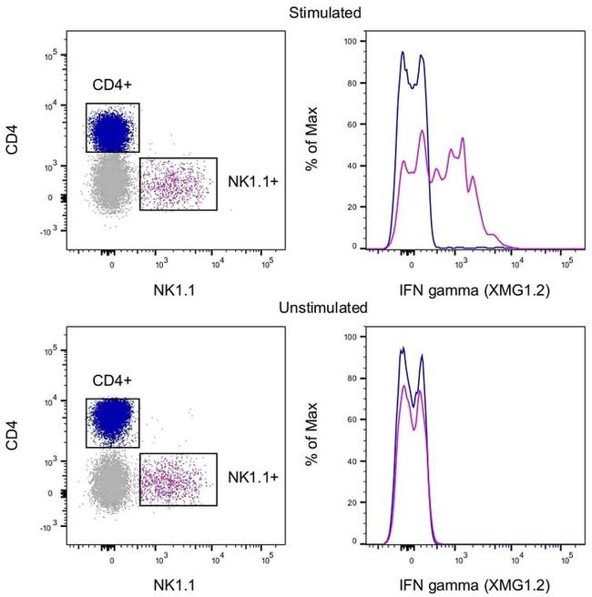 Invitrogen™ IFN gamma Monoclonal Antibody (XMG1.2), APC, eBioscience™