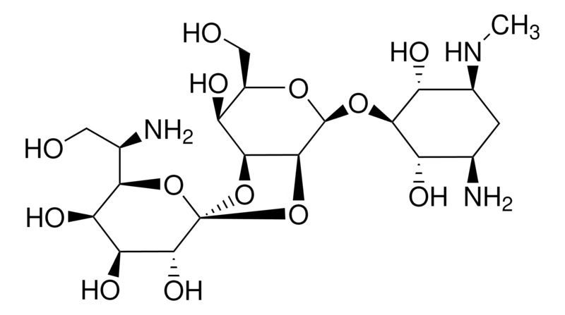 Gibco™ Hygromycin B (50 mg/mL)