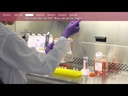 Invitrogen™ Calcium Phosphate Transfection Kit, 75 Rxn