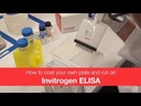 Invitrogen™ Mouse IgG (Total) Uncoated ELISA Kit with Plates
