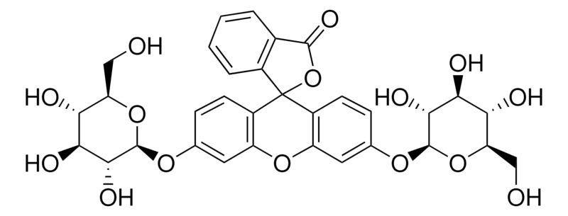 Invitrogen™ Fluorescein Di-β-D-Glucopyranoside (FDGlu)