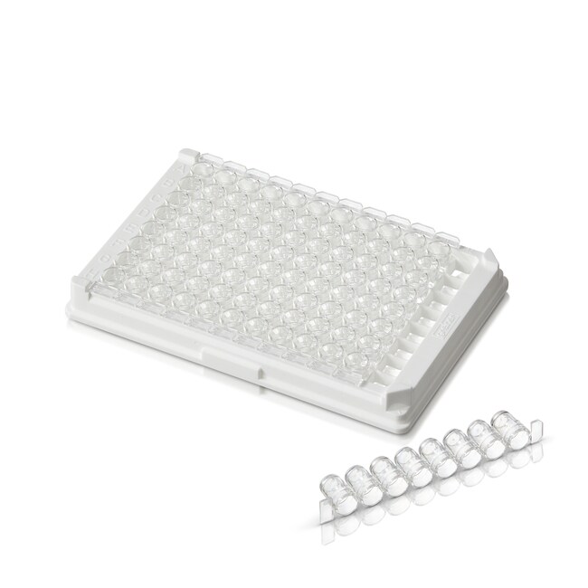 Thermo Scientific™ Pierce™ 8-Well Polystyrene Strip Plates, Corner Notch, 360 μL, Flat Bottom