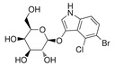 Invitrogen™ X-Gal (5-Bromo-4-Chloro-3-Indolyl β-D-Galactopyranoside), 1g
