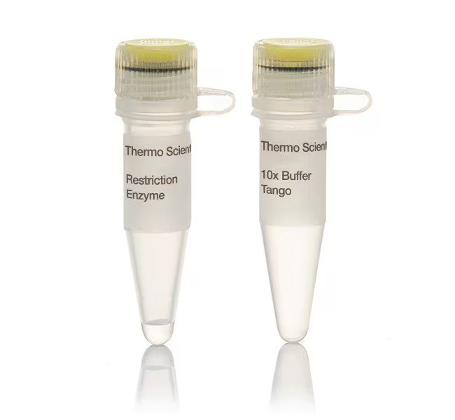 Thermo Scientific™ RsaI (10 U/μL)