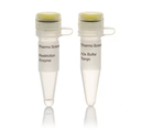 Thermo Scientific™ RsaI (10 U/μL)