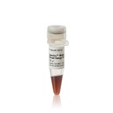 Thermo Scientific™ Spectra™ Multicolor Broad Range Protein Ladder