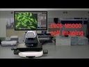 Invitrogen™ EVOS™ M5000 Imaging System