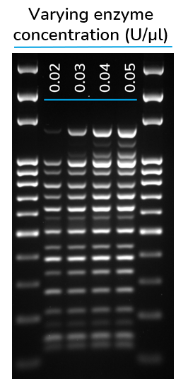 Solis Hot Start HiFi DNA Polymerase Kit