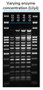 Solis Hot Start HiFi DNA Polymerase Kit
