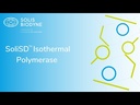 SoliSD™ Bsm DNA Polymerase Kit