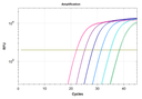 SolisFAST® Lyo-Ready qPCR Kit with UNG