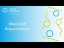 RiboGrip® RNase Inhibitor (220U/µl)