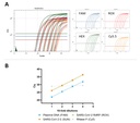 SOLIScript® Fast 1-step RT-qPCR Mix with UNG