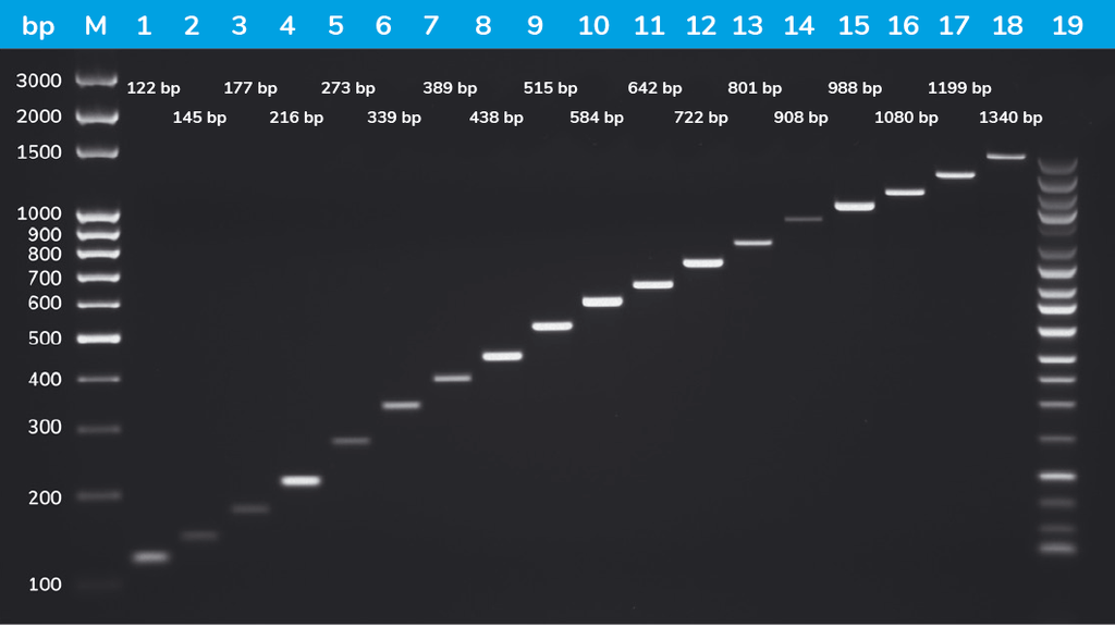 SolisFAST® Master Mix, Ready to Load