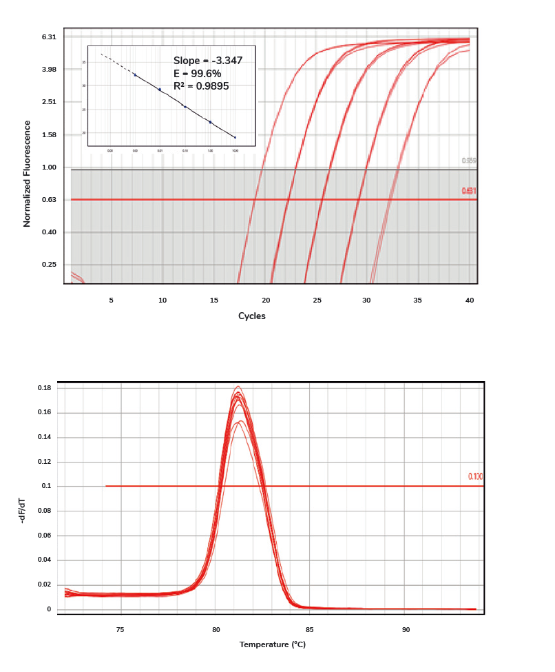 SolisFAST® SolisGreen® qPCR Mix