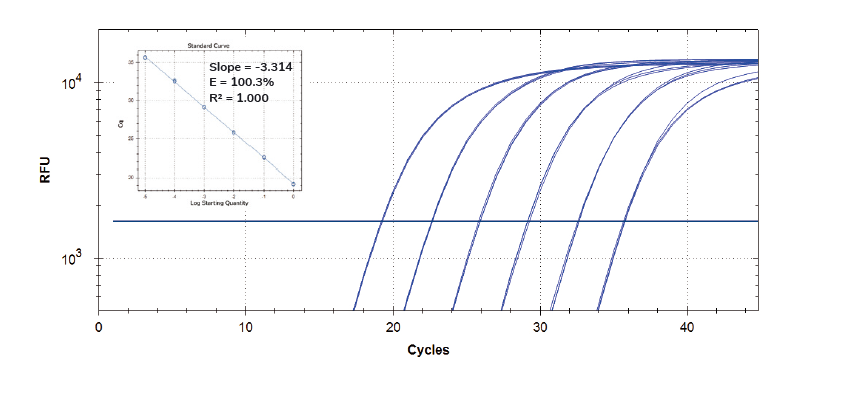 SolisFAST® Probe qPCR Mix