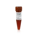 Invitrogen™ ROX Reference Dye, 500 μL