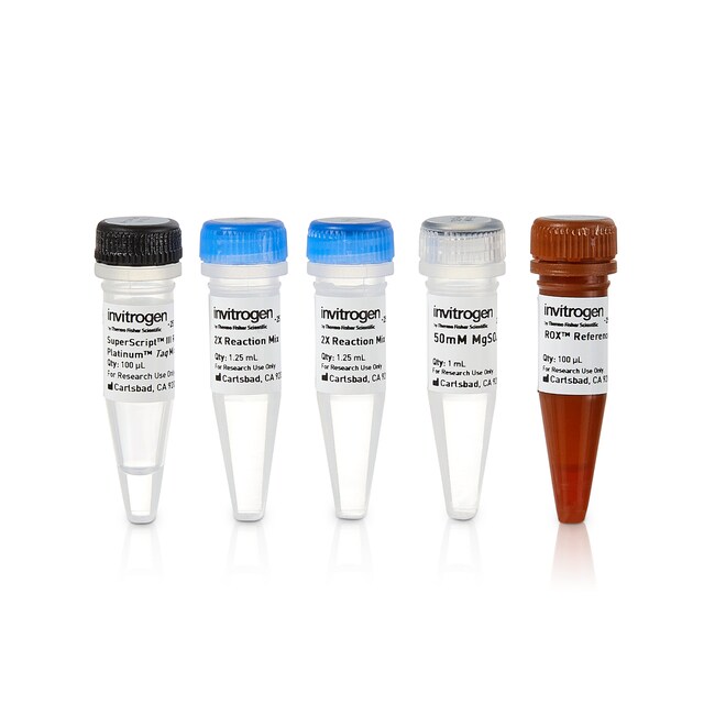Invitrogen™ SuperScript™ III Platinum™ One-Step qRT-PCR Kit