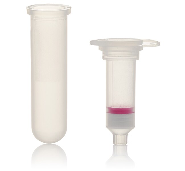 Invitrogen™ PureLink™ PCR Purification Kit