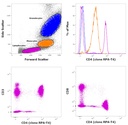 Invitrogen™ CD4 Monoclonal Antibody (RPA-T4), PE, eBioscience™