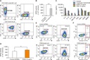 Invitrogen™ CD4 Monoclonal Antibody (RPA-T4), PE, eBioscience™