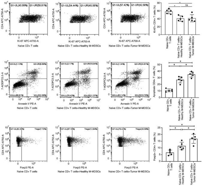Invitrogen™ CD4 Monoclonal Antibody (RPA-T4), PE, eBioscience™
