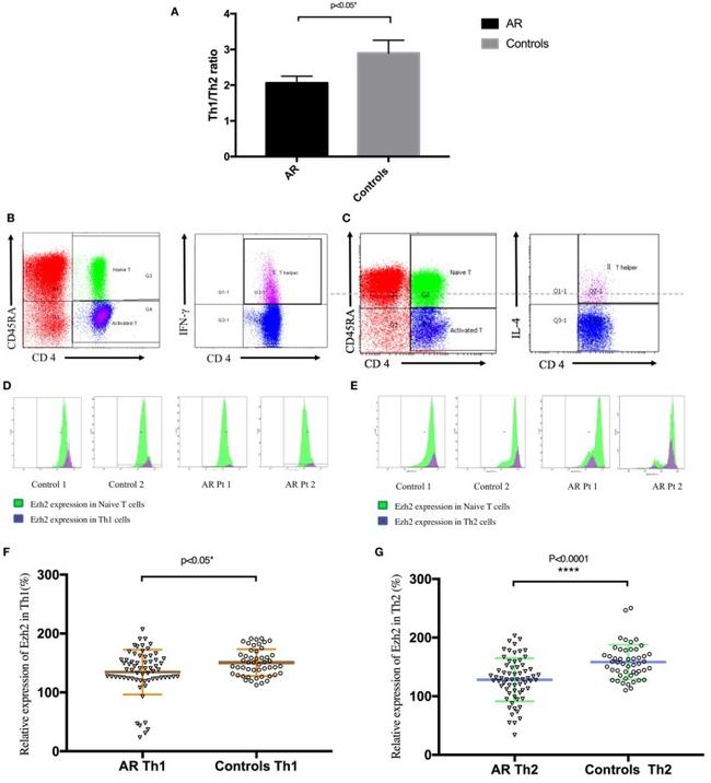 Invitrogen™ CD4 Monoclonal Antibody (RPA-T4), PE, eBioscience™