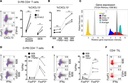 Invitrogen™ CD4 Monoclonal Antibody (RPA-T4), PE, eBioscience™