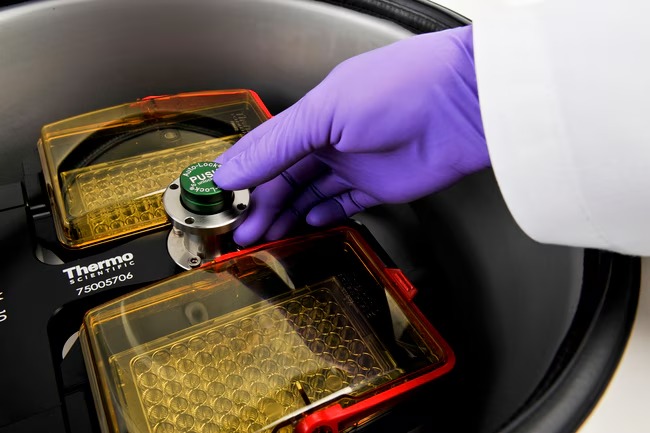 Thermo Scientific™ M10 Microplate Swinging Bucket Rotor for Sorvall ST8/ST8R, Megafuge 8/8R and SL8/SL8R Centrifuges