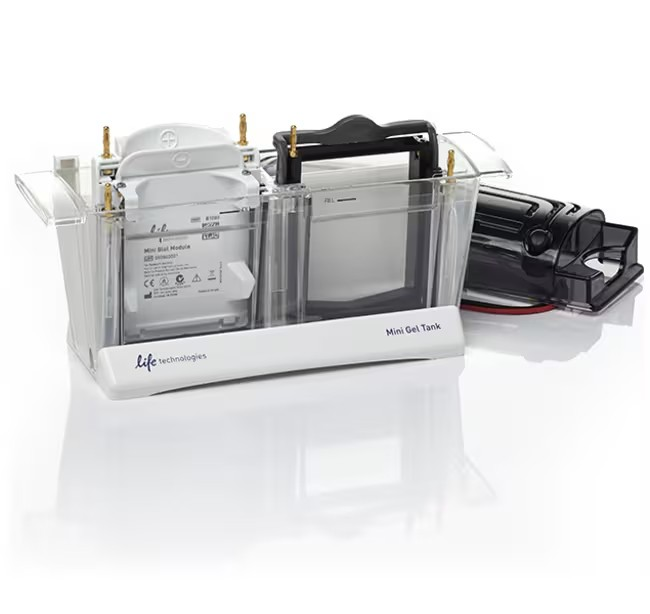 Invitrogen™ Mini Gel Tank and Blot Module Combo Pack