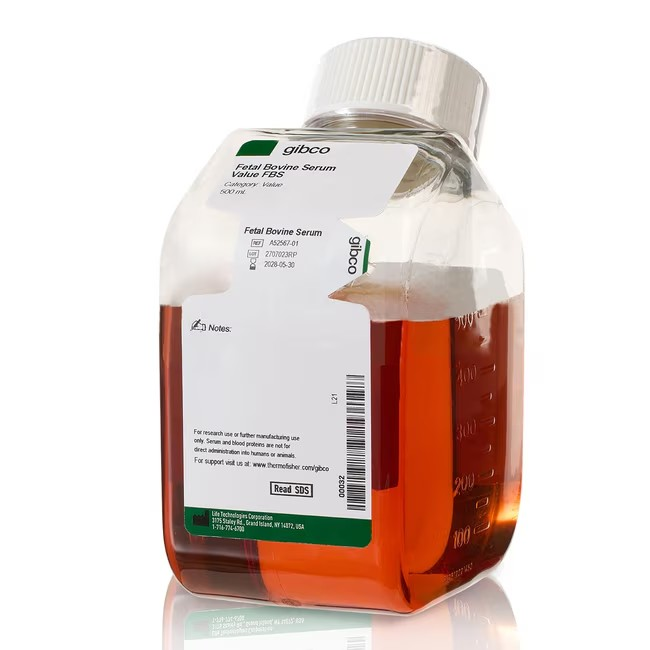 Gibco™ Fetal Bovine Serum, Value,