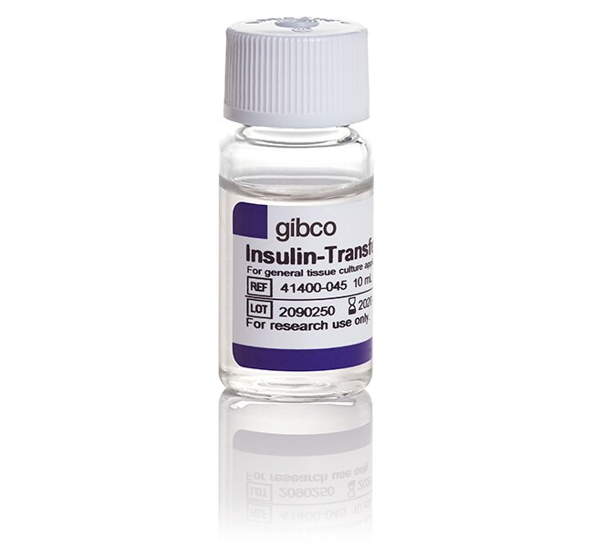 Gibco™ Insulin-Transferrin-Selenium (ITS -G) (100X), 10 mL