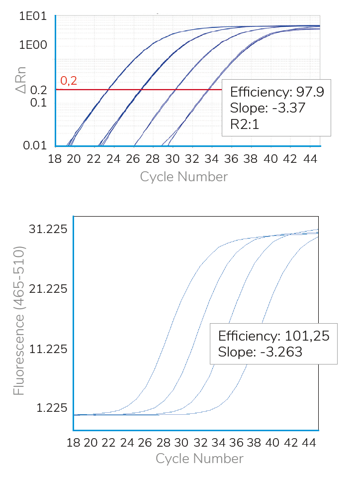 HOT FIREPol® EvaGreen® qPCR Supermix, 5X