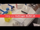 Invitrogen™ Human IFN gamma ELISA Kit, High Sensitivity, 96 Tests
