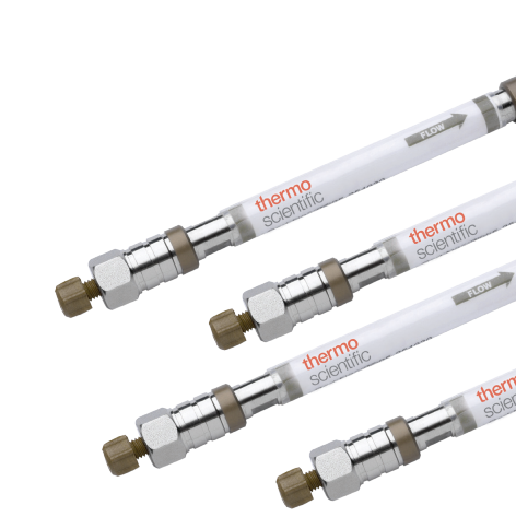 Thermo Scientific™ Hypersil GOLD™ PEI HILIC HPLC Columns