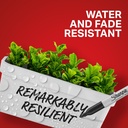 Sharpie Permanent Markers, Fine Point