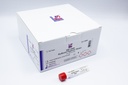 Liofilchem® ESC Swab with Buffered Peptone Water