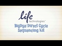 Thermo Scientific™ Applied Biosystems™ BigDye™ Terminator v3.1 Cycle Sequencing Kit