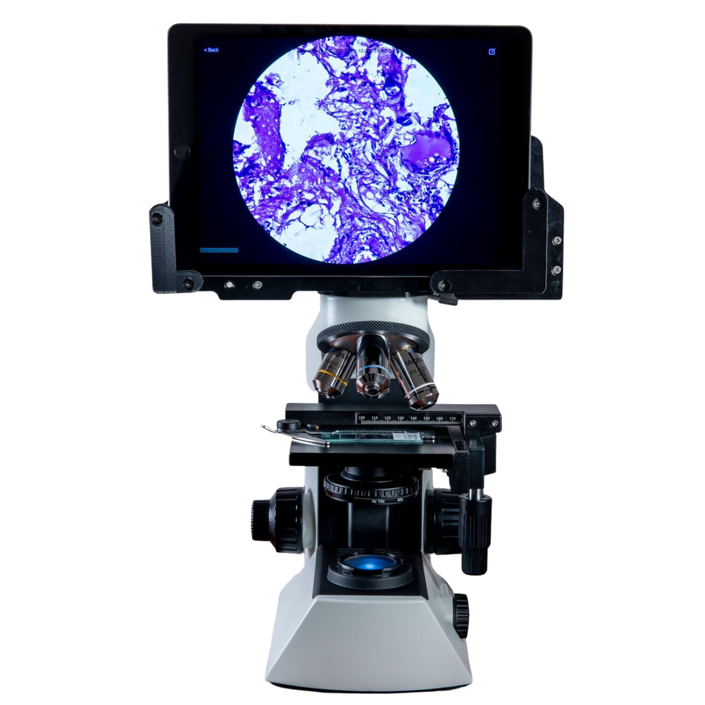Magnus Digital Microscope, MX21i with Cilika Digital Head & Apple Ipad