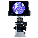 Magnus Digital Microscope, MX21i with Cilika Digital Head & Apple Ipad
