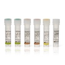 Applied Biosystems™ VetMAX™ African Swine Fever Virus Detection Kit 2.0