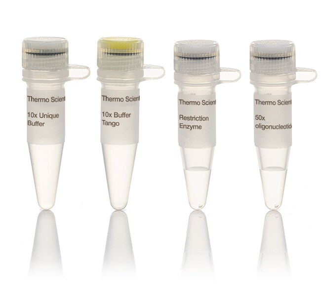 Thermo Scientific™ AarI (2 U/μL)