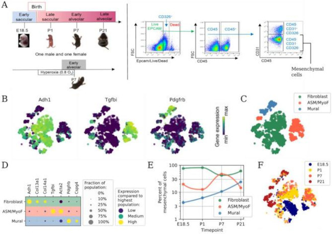 Invitrogen™ CD326 (EpCAM) Monoclonal Antibody (G8.8), FITC, eBioscience™