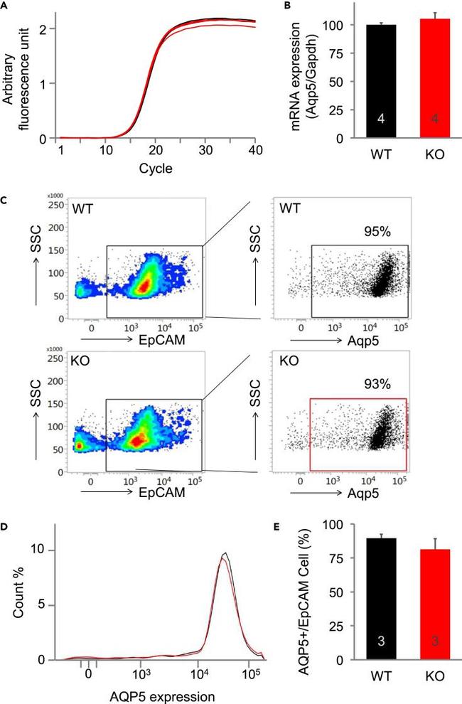 Invitrogen™ CD326 (EpCAM) Monoclonal Antibody (G8.8), FITC, eBioscience™