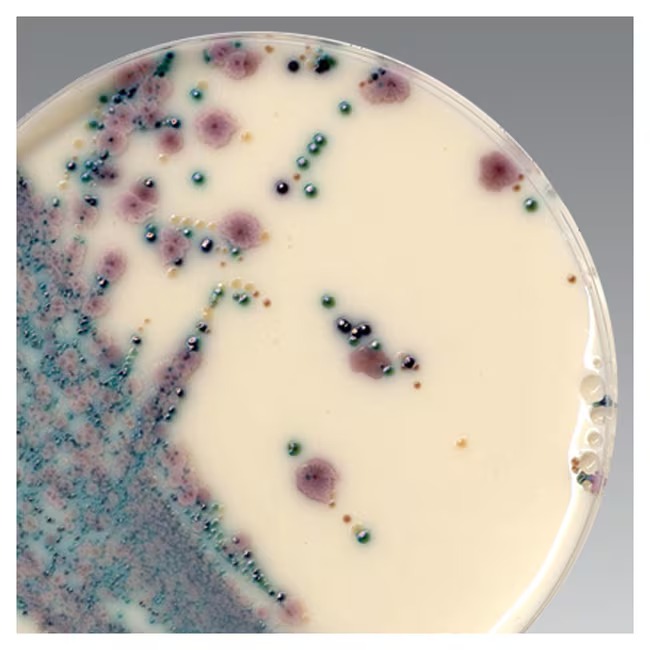 Thermo Scientific™ Brilliance™ Candida Selective Supplement, 10 x 10 mL